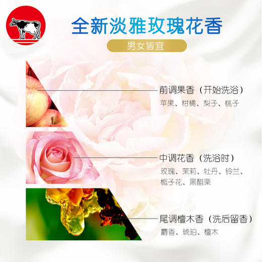 KJ 牛乳石硷美肤沐浴乳 沐浴露 淡雅玫瑰花香500ml  效期2022.11 商品图2