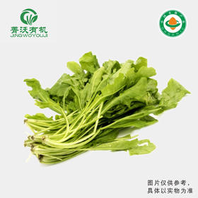 菁沃有机荠菜300g