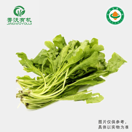 菁沃有机荠菜300g 商品图0