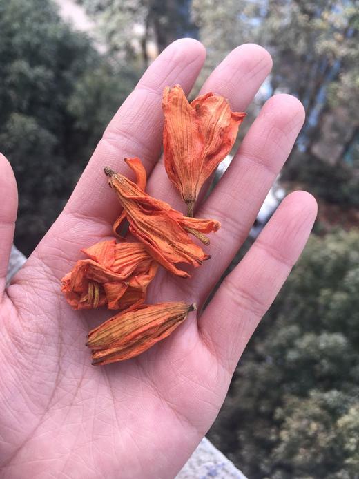 百合花 商品图4