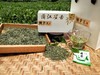 【2021新茶】雀舌嫩芽茶叶春茶明前浓香竹叶散装湄潭翠芽毛尖绿茶 商品缩略图2