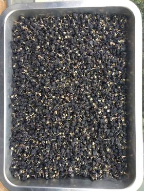 黑枸杞   中大颗粒 青海诺木洪产