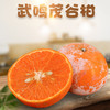 【新鲜上市】广西茂谷柑 精品大果 武鸣 当季水果 新鲜现摘现发石灰柑 商品缩略图0