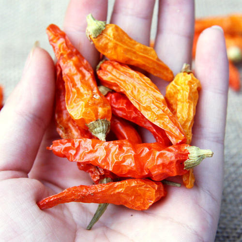 野山椒干 约500g 商品图2