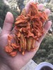 百合花 商品缩略图3