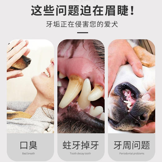宠物牙膏牙刷套装 清洁牙齿去口气口臭 效果好 商品图2