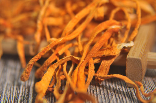 红不让 虫草花 250克 广东清新本地优质农产品 商品图2