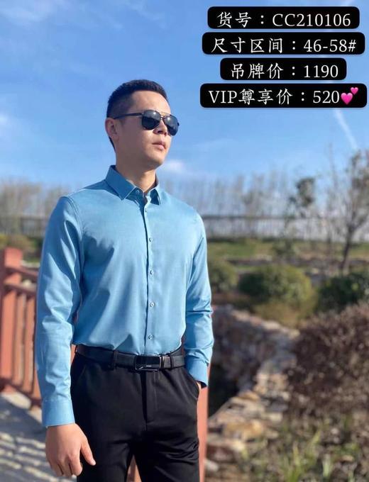 4楼露迪尼 衬衫 cc210106 商品图0