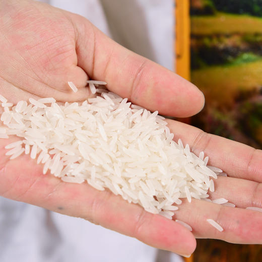 连山大米壮瑶家香丝苗米真空袋装5kg 商品图2