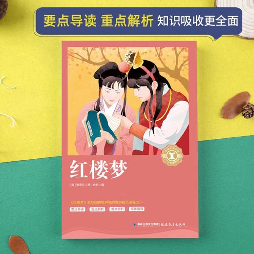 奇遇经典文库-红楼梦 中小学生课外阅读书 10-18岁儿童文学 商品图1