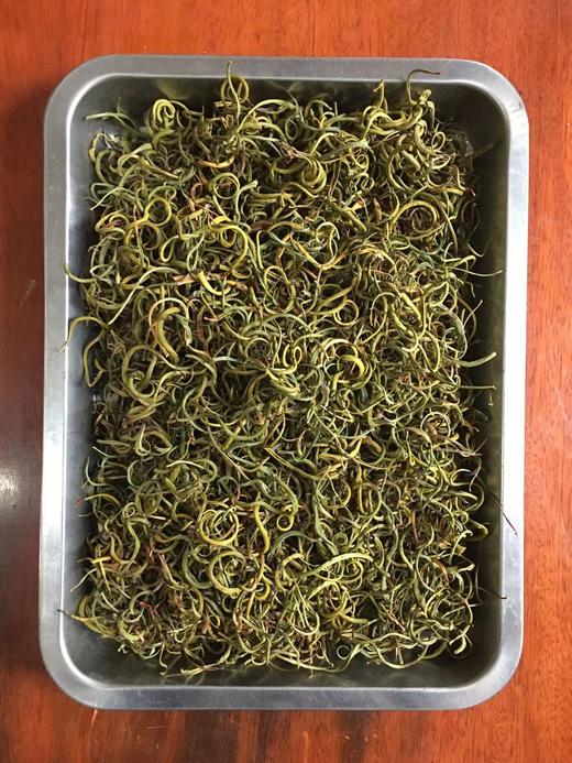 化石草 商品图0