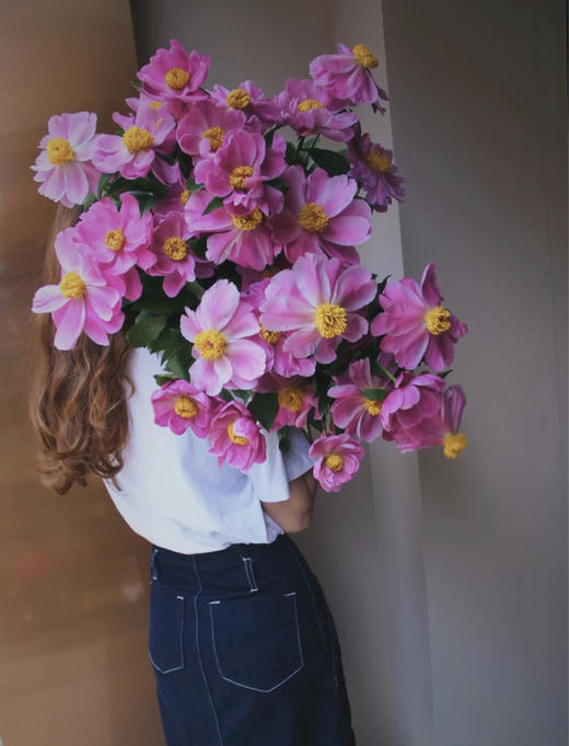 【四川单瓣芍药】10支/份 第二份3.9元 商品图7