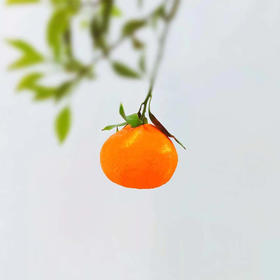 有机橘橙礼盒净含量6斤重9-12枚