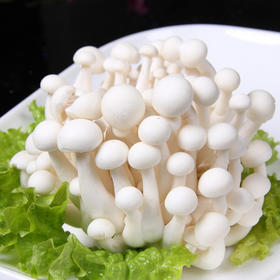 爱农  北京有机蔬菜  白玉菇300g