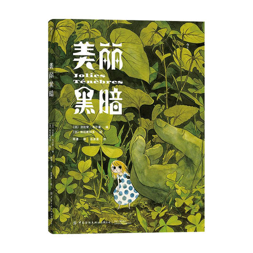 美丽黑暗 法比安韦尔曼 凯拉斯科多 著 陈潇 译 欧美动漫书籍 商品图0