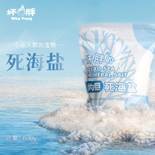 坏胖 死海盐630克 袋装 不设空罐 您可自行添置 感谢理解 商品图0
