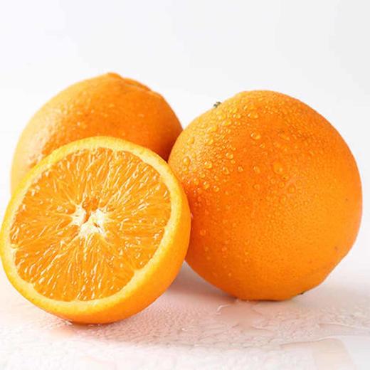 三峡 秭归脐橙九月红，新鲜脐橙现摘发货 商品图0