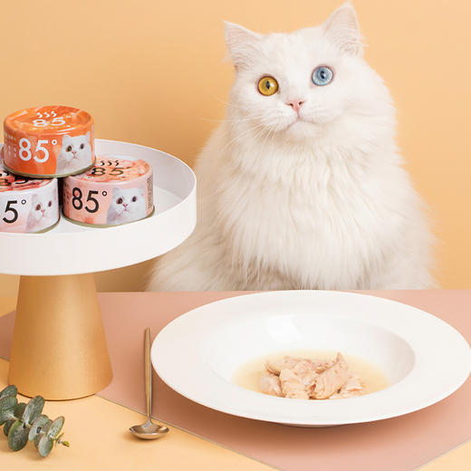 尾巴生活 85度猫咪零食罐头 增肥营养湿粮 全期猫咪零食 85g 商品图2