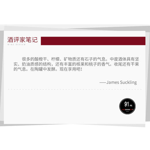 璞玉深藏大脑空白干白葡萄酒自然酒2019年 750mL  JS91 Vins Nus  InStabile no10. In Albis 商品图3