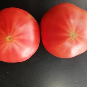 记得回家吃饭 ｜生态蔬菜包 ｜蔬菜配送 ｜不要忘了包装哦