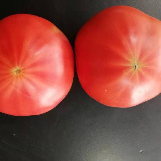 记得回家吃饭 ｜生态蔬菜包 ｜蔬菜配送 ｜不要忘了包装哦 商品图0