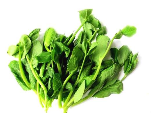 自产/有机种植  豌豆尖 商品图0