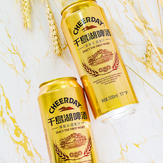 11°P千岛湖啤酒金版500ml*12听 商品图1