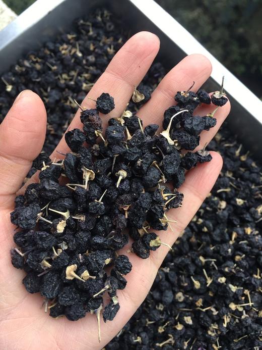 黑枸杞   中大颗粒 青海诺木洪产 商品图3