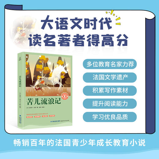 奇遇经典文库-苦儿流浪记 中小学生课外阅读书 10-18岁儿童文学 商品图2