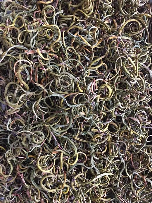 化石草 商品图1