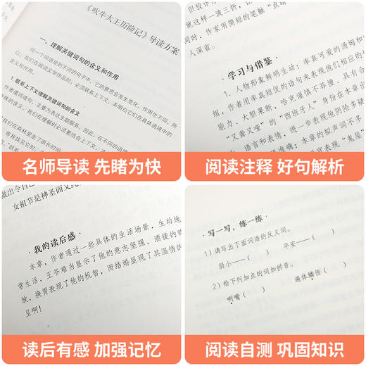 奇遇经典文库-呼啸山庄 中小学生课外阅读书 10-18岁儿童文学 商品图2