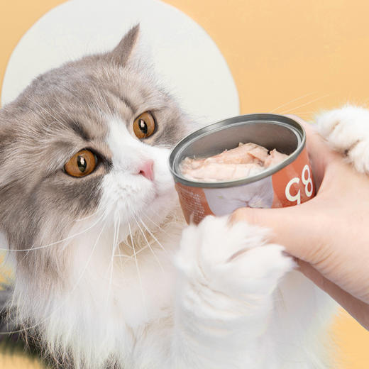 尾巴生活 85度猫咪零食罐头 增肥营养湿粮 全期猫咪零食 85g 商品图0