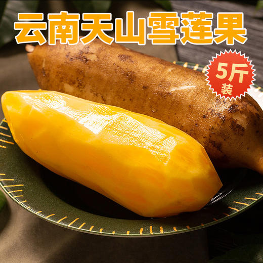 雪莲果5斤装 商品图0