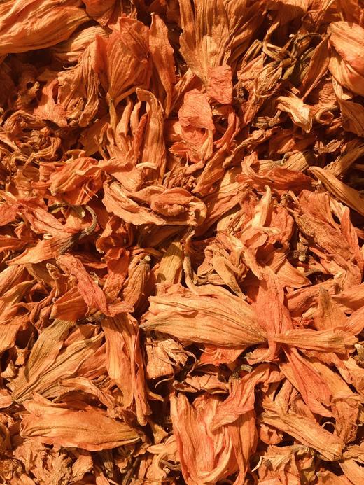 百合花 商品图2