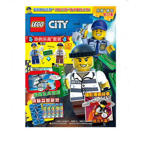 乐高城市第22集