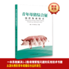《青年母猪综合征防控集成技术》新书上架，PSY应用研究院【匠心出品】 商品缩略图0