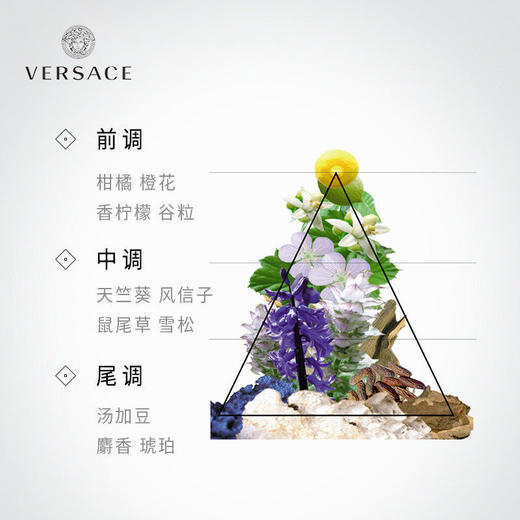 范思哲 经典同名男士淡香水 商品图2