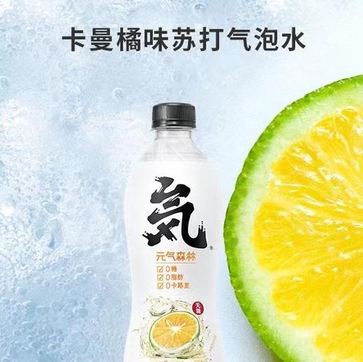 苏打气泡水 商品图0