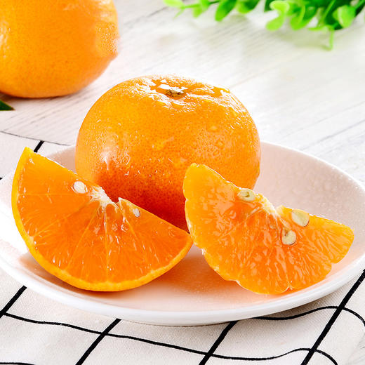 【新鲜上市】广西茂谷柑 精品大果 武鸣 当季水果 新鲜现摘现发石灰柑 商品图3