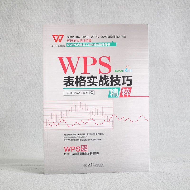 WPS 表格实战技巧精粹》作者：Excel Home 编著定价：119元