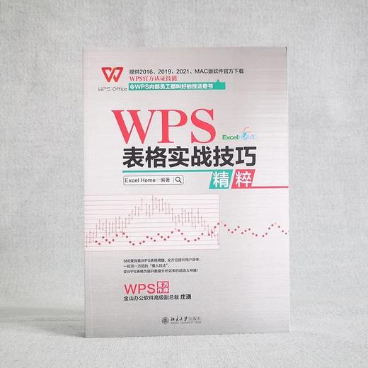 《WPS 表格实战技巧精粹》作者：Excel Home 编著 定价：119元 商品图1