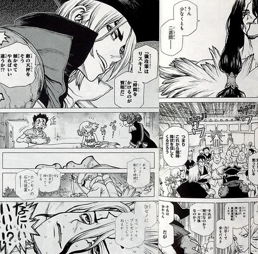 【中商原版】新石纪 19 石纪元 日文原版 Dr.STONE 19 商品图2