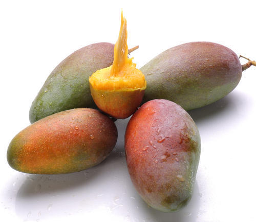 三亚贵妃芒果香浓郁香甜可口精选5斤（10-12个）8斤（16-20个） 商品图5