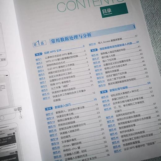 《WPS 表格实战技巧精粹》作者：Excel Home 编著 定价：119元 商品图3