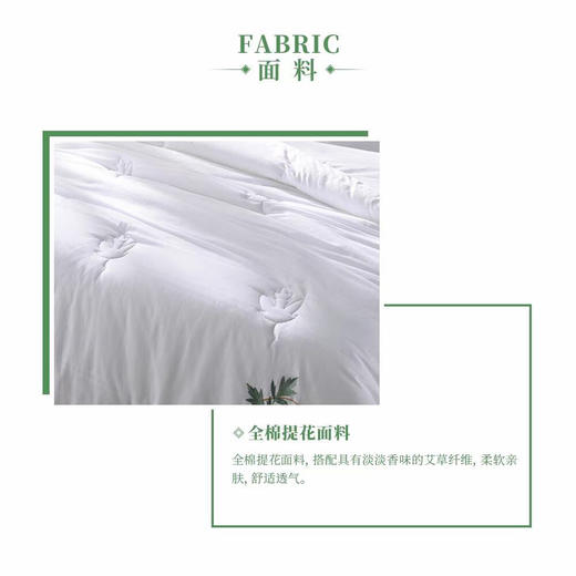 【多喜爱】第二代艾贵人养生春秋被 商品图3