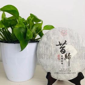 昔归普洱茶（生茶）【TC】