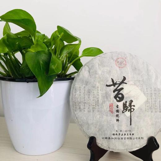 昔归普洱茶（生茶）【TC】 商品图0