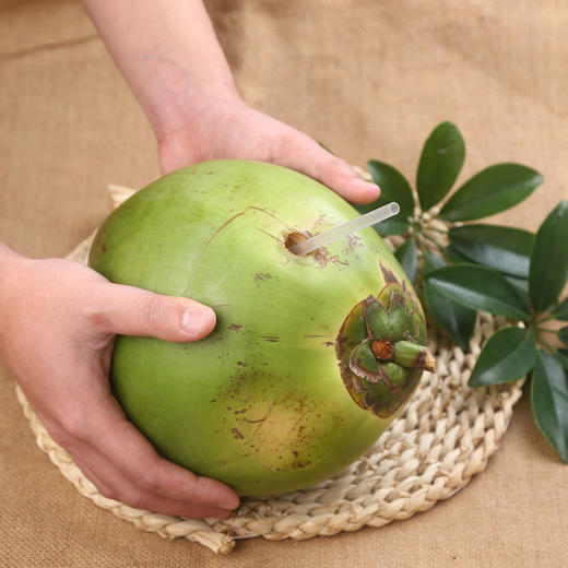 新鲜海南青椰子 1个 商品图3