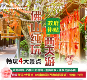 盛年一卡通系列——佛山岭南和园、西樵山影视城、逢简水乡、佛罗伦萨小镇纯玩两天游