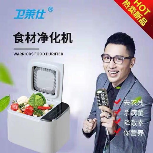 央视上榜品牌-豪华食材净化消毒机-蔬菜水果肉类消毒 商品图1